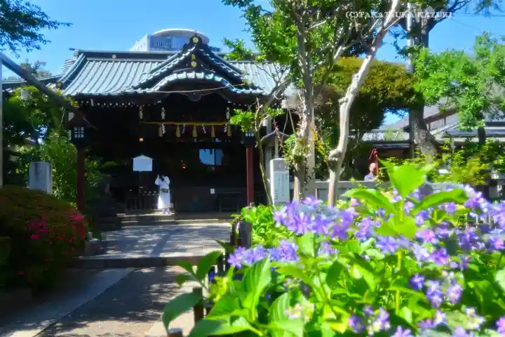 白山神社(東京都)