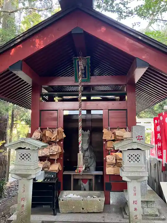 大杉神社(茨城県)