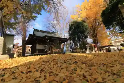 熊野福藏神社の本殿・本堂