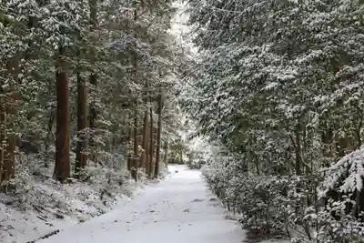 正伝護国禅寺(正伝寺･正傳寺)(京都府)