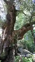 生王部神社の自然