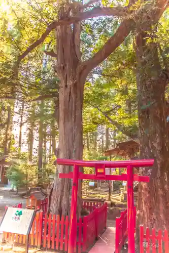 涼ケ岡八幡神社の末社