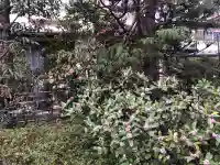 徳泉寺の{uncategorized: "未分類", other: "その他", undefined: "問題あり", building: "その他建物", grave: "お墓", sacred_gate: "鳥居", guardian: "狛犬", statue: "像", buddha: "仏像", history: "歴史", nature: "自然", garden: "庭園", animal: "動物", pagoda: "塔", temizu: "手水舎", mountain_gate: "山門・神門", sanctuary: "本殿・本堂", subordinate: "末社・摂社", art: "芸術", scenery: "景色", jizo: "地蔵", ema: "絵馬", goshuin: "御朱印", omikuji: "おみくじ", items: "授与品その他", amulet: "お守り", goshuincho: "御朱印帳", eats: "食事", festival: "お祭り", votive_dance: "神楽", shichigosan: "七五三参", wedding: "結婚式", experience: "体験その他", initially: "初詣", around: "周辺", anti_infection: "感染症対策"}