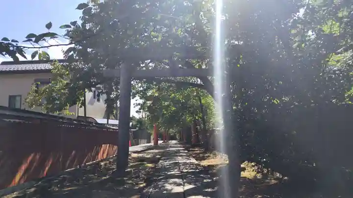 竹中稲荷神社(吉田神社末社)(京都府)