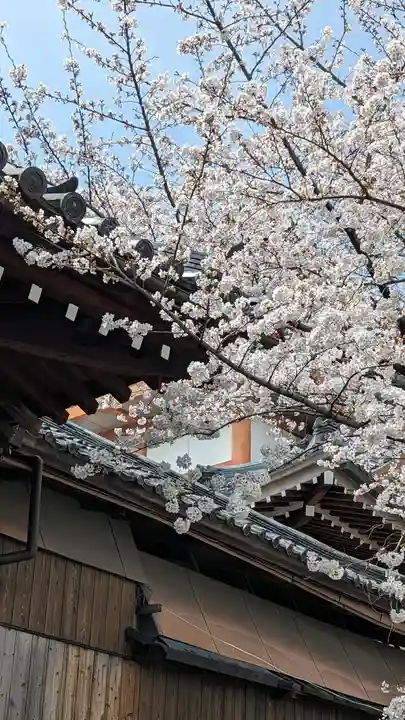 本法寺(京都府)