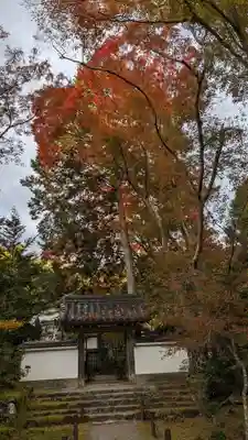 地蔵院(京都府)