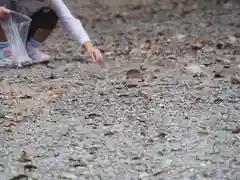 川田八幡神社の建物その他