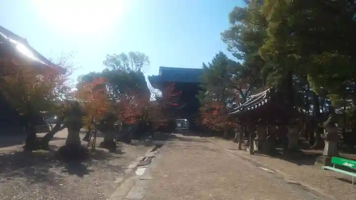 大樹寺(松安院大樹寺)(愛知県)
