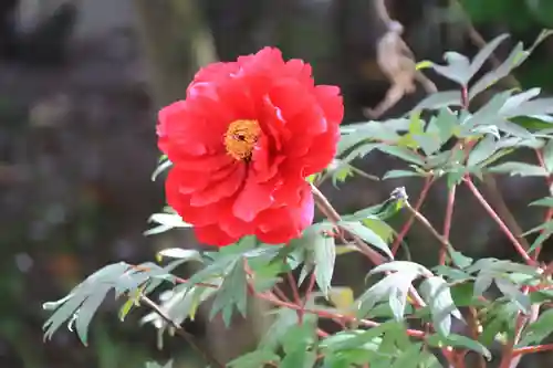 開成山大神宮の庭園