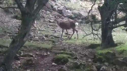 修禅寺(山口県)