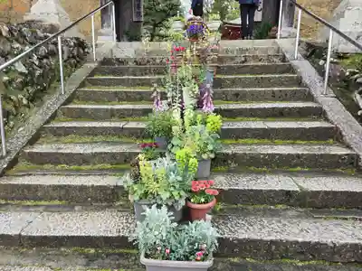 慈尊院(和歌山県)