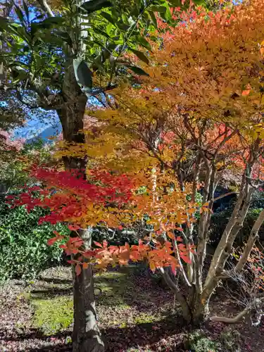 宝徳寺(群馬県)