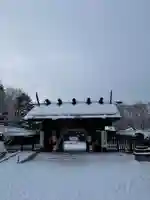 札幌護國神社の初詣
