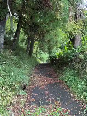 麻賀多神社(千葉県)