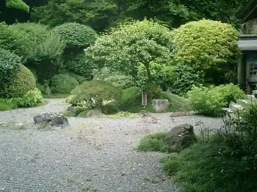 報国寺の庭園