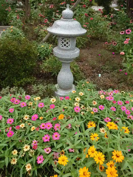 埼玉厄除け開運大師・龍泉寺(切り絵御朱印発祥の寺)の庭園