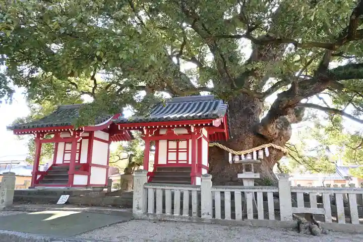 善通寺(香川県)