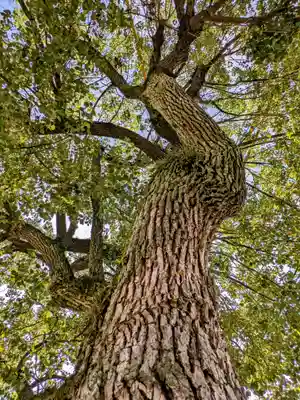 三津厳島神社(愛媛県)