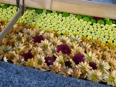 高円寺氷川神社の手水舎