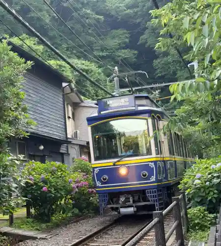 御霊神社(神奈川県)