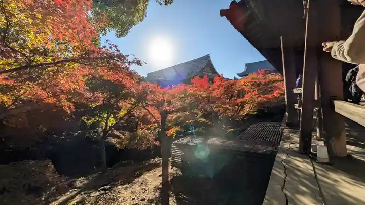 東福禅寺(東福寺)(京都府)