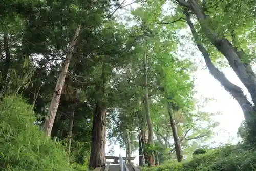 阿久津「田村神社」（郡山市阿久津町）旧社名：伊豆箱根三嶋三社の自然