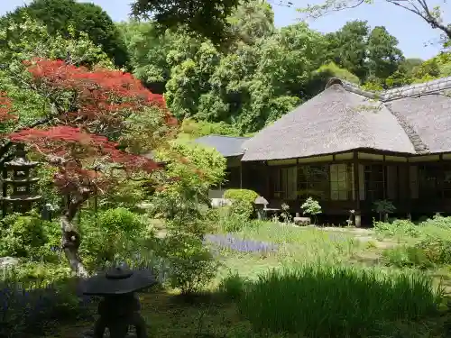 浄智寺の庭園