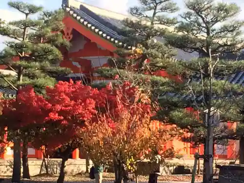 東福禅寺（東福寺）の自然
