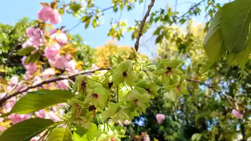 大報恩寺（千本釈迦堂）(京都府)