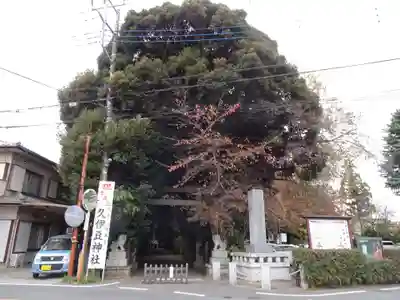 岩槻久伊豆神社のその他建物