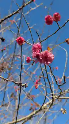 半木神社（賀茂別雷神社境外末社）(京都府)