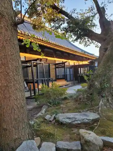 大杉神社の本殿・本堂