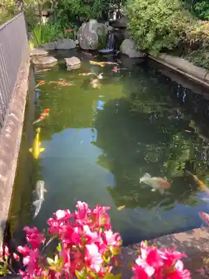 雲頂庵(神奈川県)