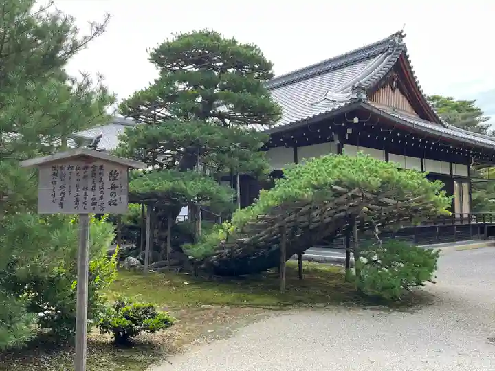 鹿苑寺(金閣寺)(京都府)
