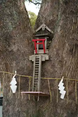 加藤神社(熊本県)
