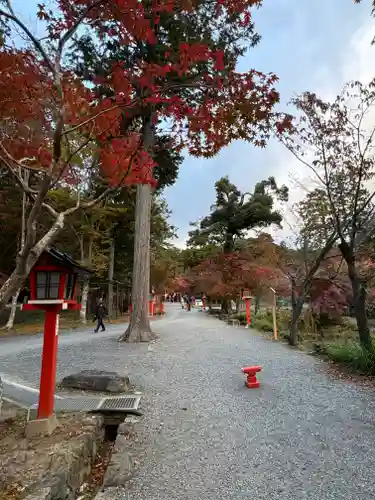 大原野神社(京都府)