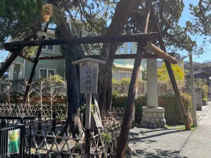荏柄天神社の{uncategorized: "未分類", other: "その他", undefined: "問題あり", building: "その他建物", grave: "お墓", sacred_gate: "鳥居", guardian: "狛犬", statue: "像", buddha: "仏像", history: "歴史", nature: "自然", garden: "庭園", animal: "動物", pagoda: "塔", temizu: "手水舎", mountain_gate: "山門・神門", sanctuary: "本殿・本堂", subordinate: "末社・摂社", art: "芸術", scenery: "景色", jizo: "地蔵", ema: "絵馬", goshuin: "御朱印", omikuji: "おみくじ", items: "授与品その他", amulet: "お守り", goshuincho: "御朱印帳", eats: "食事", festival: "お祭り", votive_dance: "神楽", shichigosan: "七五三参", wedding: "結婚式", experience: "体験その他", initially: "初詣", around: "周辺", anti_infection: "感染症対策"}