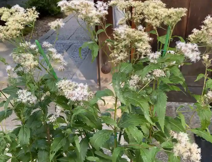 尊陽院(京都府)