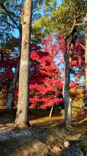 仁和寺(京都府)