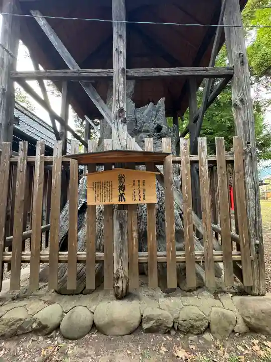 科野大宮社(長野県)