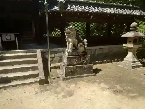 伊居太神社の狛犬