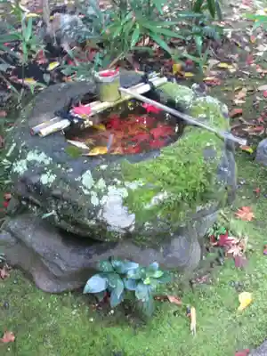 高桐院の手水舎