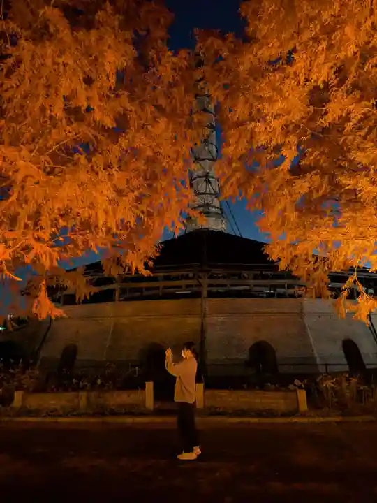 野木神社(栃木県)