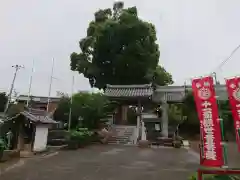 大通院の建物その他