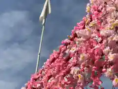 別小江神社の自然