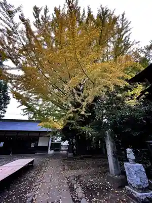 小平神明宮(東京都)