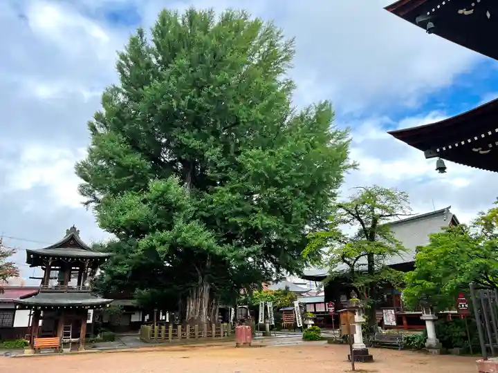 飛騨国分寺のその他建物