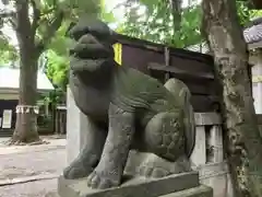 駒込天祖神社の狛犬