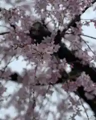 根岸八幡神社(神奈川県)