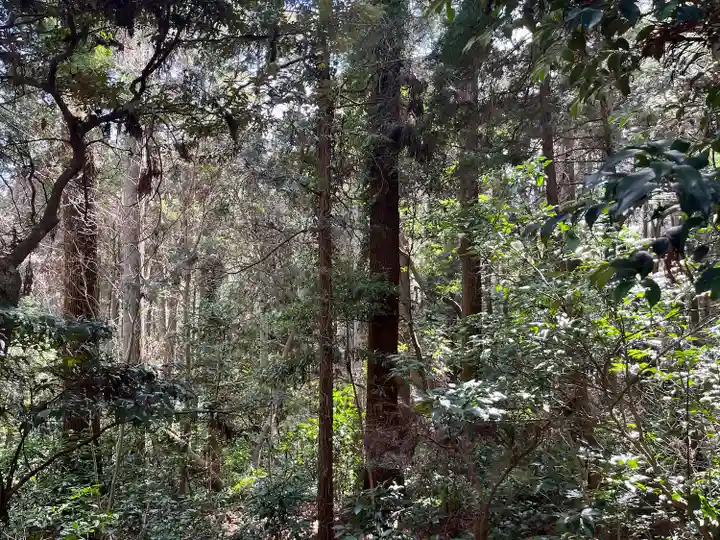日吉神社(千葉県)
